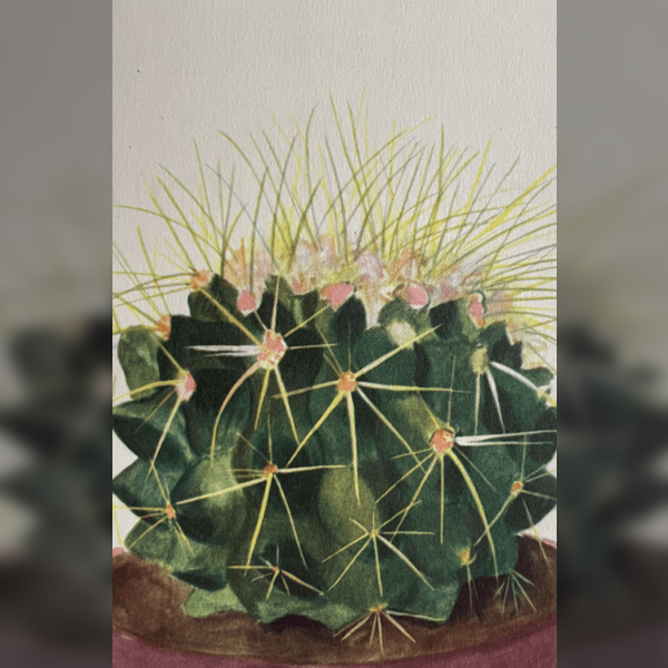 Botanical Art - Cacti with Artist Monair Hyman