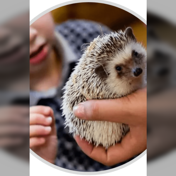 Interactive Animal Handling Experience - Afternoon Session