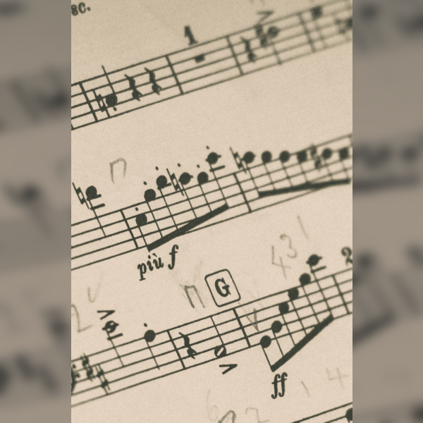 Summer Concert : Gala Concert Carmina Burana