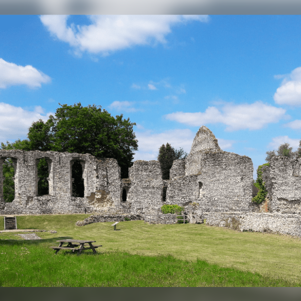 Bishop's Waltham Palace and Museum