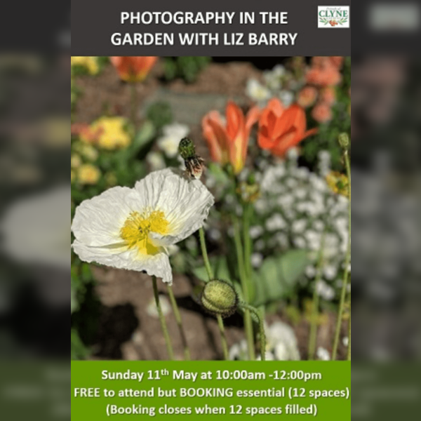 Clyne In Bloom 2025: Photography In The Garden With Liz Barry