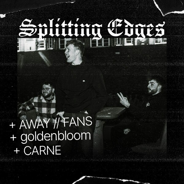 Splitting Edges + Away Fans + Goldenbloom + Carne