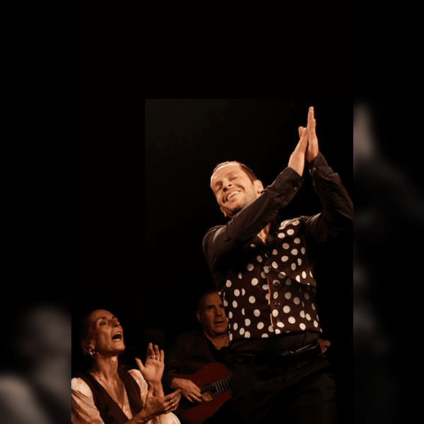 Flamenco Express