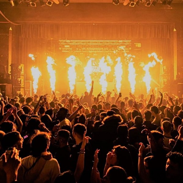 Def:inition - GOSH Children's Charity D&B + Jungle Fundraiser