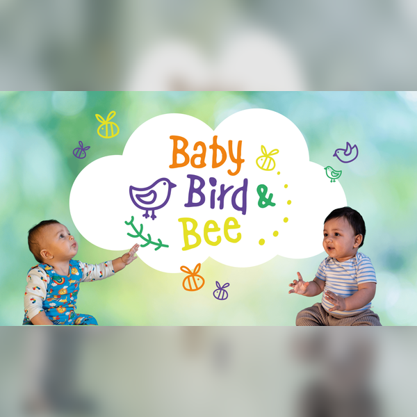 Baby, Bird & Bee