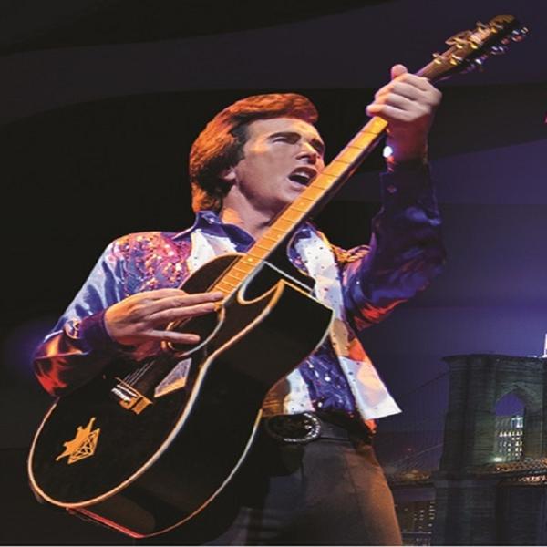 A Beautiful Noise Show: The Definitive Tribute to Neil Diamond