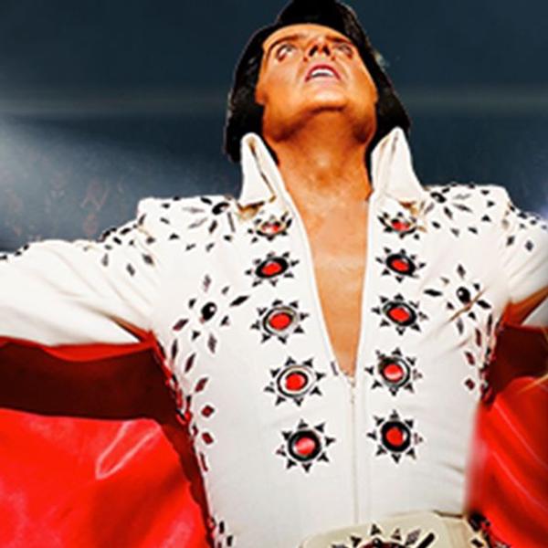 A Vision of Elvis