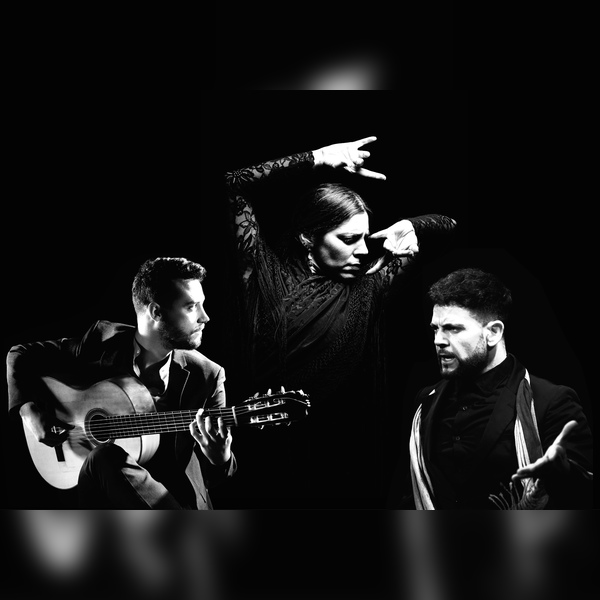 Art of Andalucia: Flamenco