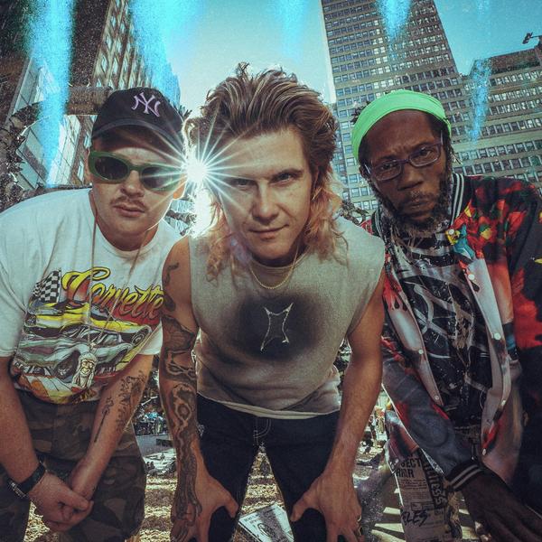 Too Many Zooz