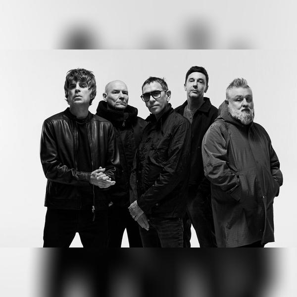 Shed Seven