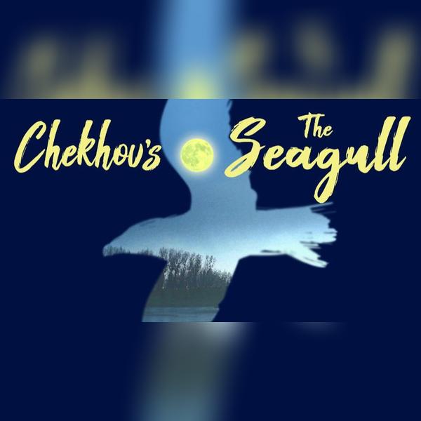 The Seagull by Anton Chekhov