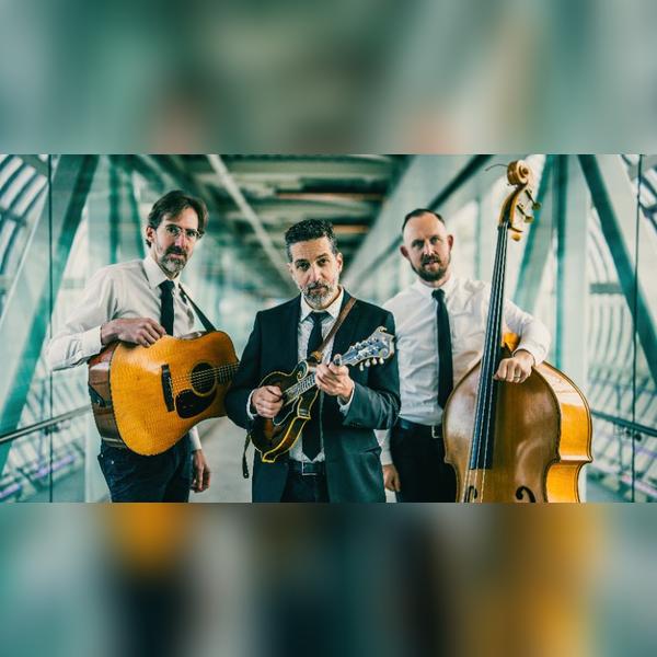 The Andrew Collins Trio