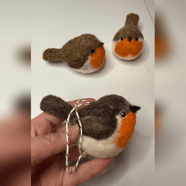 Felted Robin Workshop