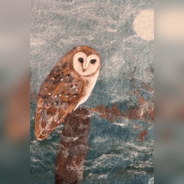 Barn Owl Picture Workshop