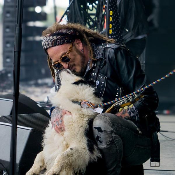 The Wildhearts