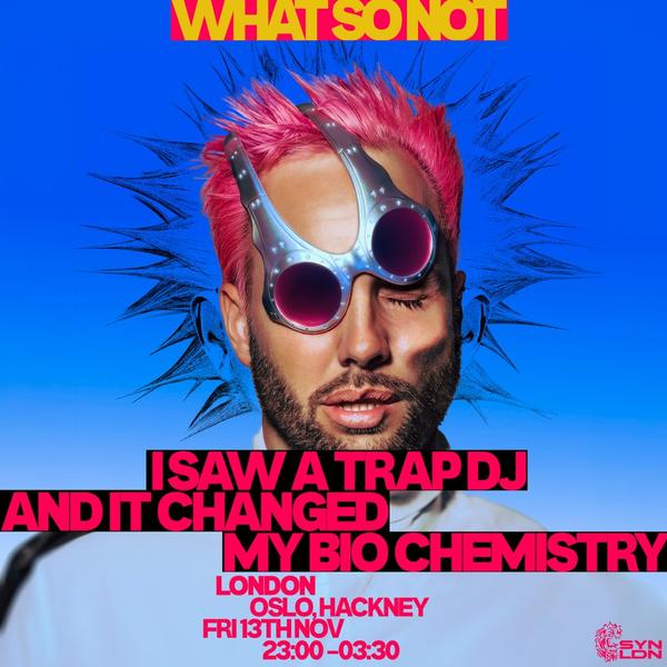 What So Not: I Saw a Trap DJ and it Changed My Bio Chemistry