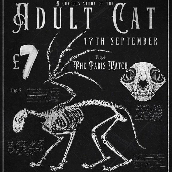 Adult Cat w/ The Paris Match 17 / 09 / 25 @ The Water Rats