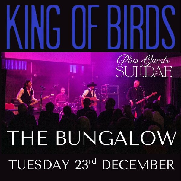 King of Birds plus guests Sulidae