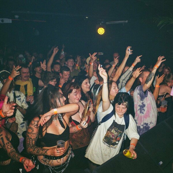 Intrigue with Bachelors of Science & more