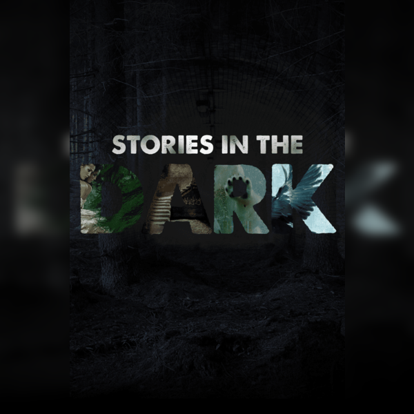 Stories in the Dark