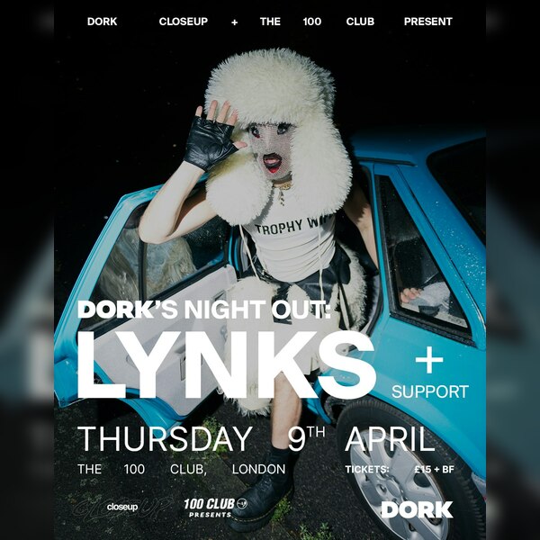 Dork's Night Out: Lynks