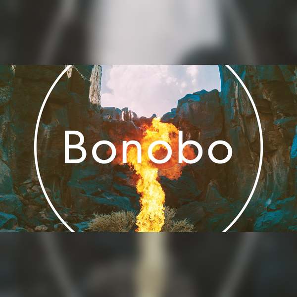 Bonobo