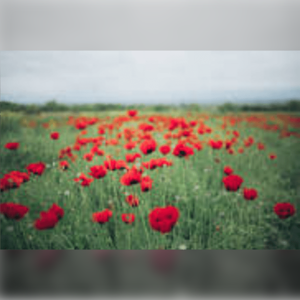 Music for Remembrance