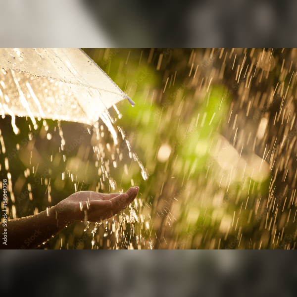 Surround Sounds No. 1: Torrents in Summer - English Madrigals and Partsongs