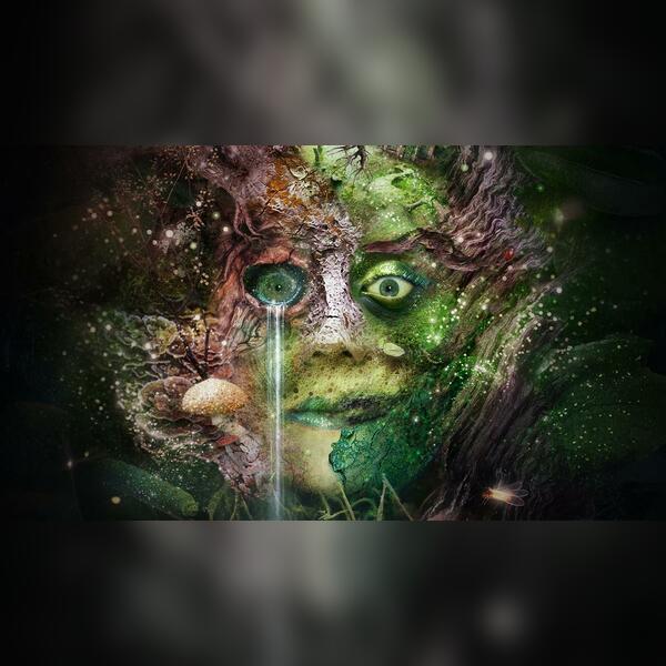 Bog Witch By Bryony Kimmings