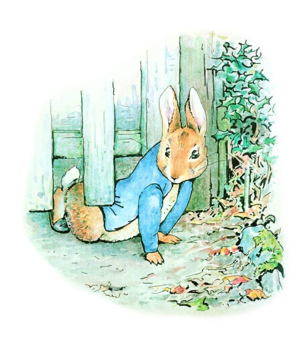 The Tale Of Peter Rabbit And Benjamin Bunny