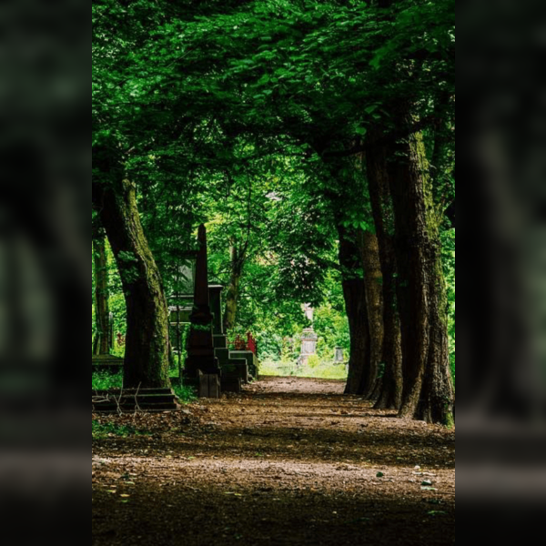 Nether Edge Festival Mindfulness Walk