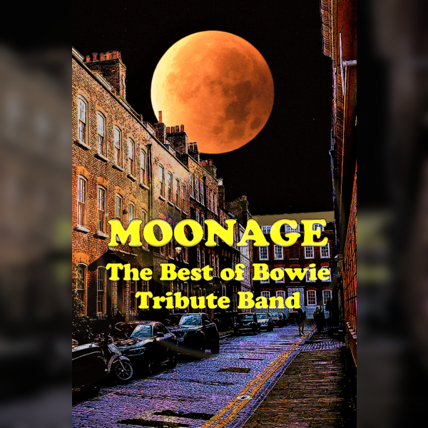 Moonage - The Best of Bowie