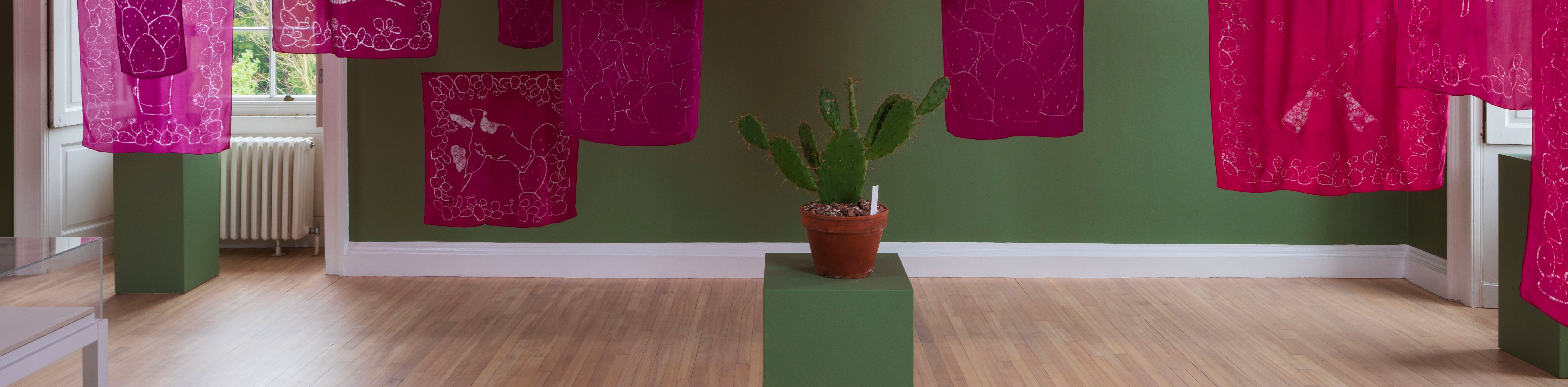 Keg de Souza: Shipping Roots ★★★★☆