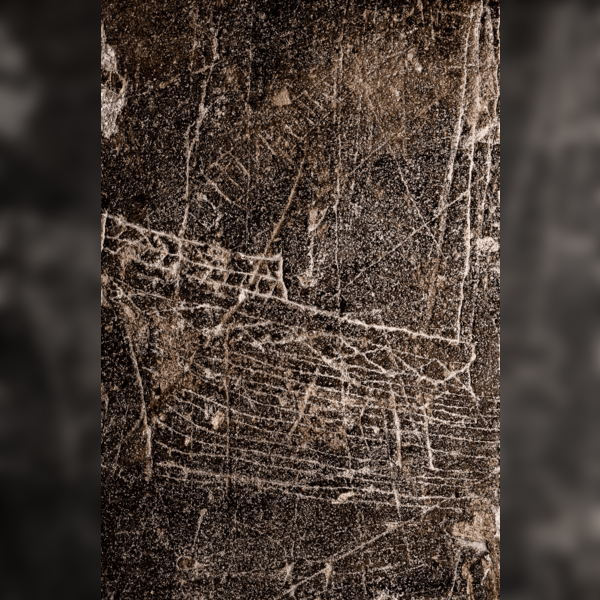 Specialist Tour: The Graffiti of Norwich Cathedral