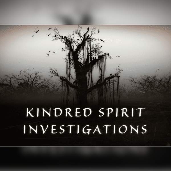 Ghost Hunt - Havelock Towers with Optional Sleepover