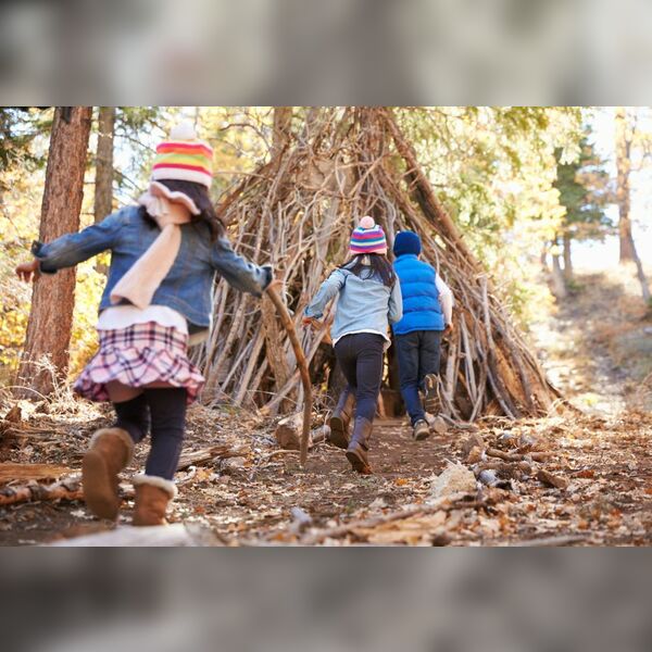 Into the Wild! - A Halloween Bushcraft Experience