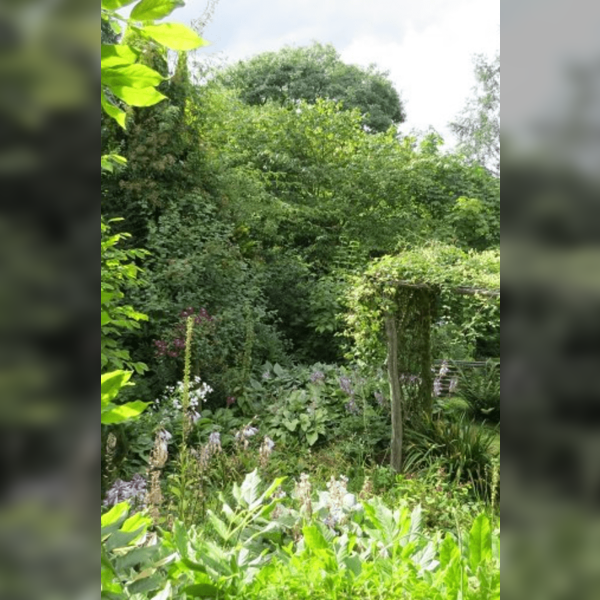 Sunday Lecture Group - Moors Meadow Garden Talk
