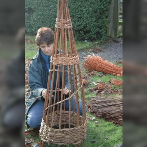 Natural Willow Plant Supports with Willowpool
