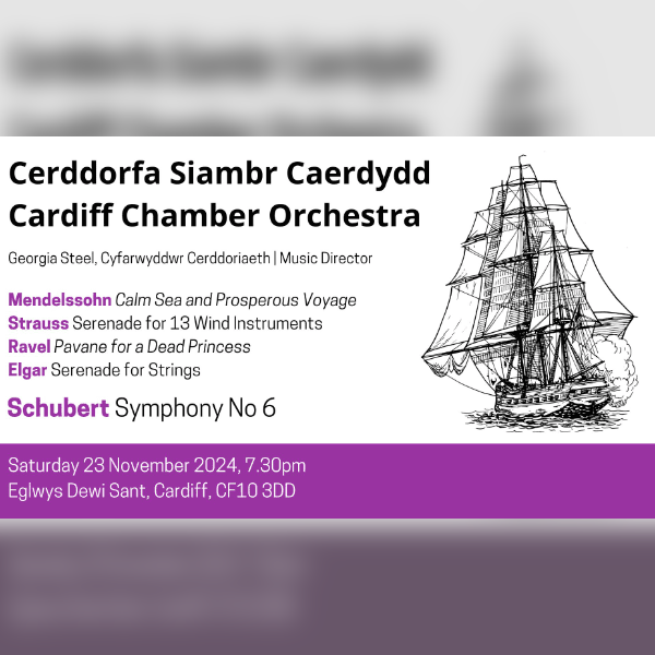 Cardiff Chamber Orchestra - Autumn 2024
