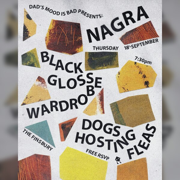 Nagra / Black Gloss Wardrobe & Dogs Hosting Fleas
