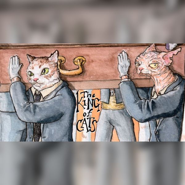 The Awkward Silences launch the King of Cats LP