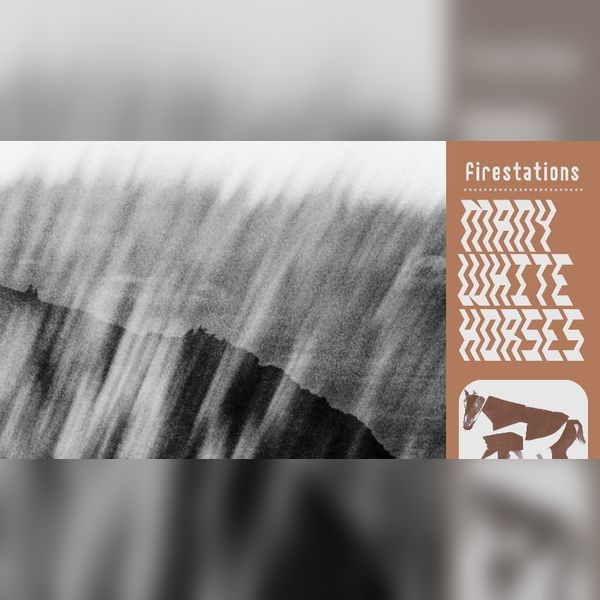 Firestations - 'Many White Horses' Album Launch