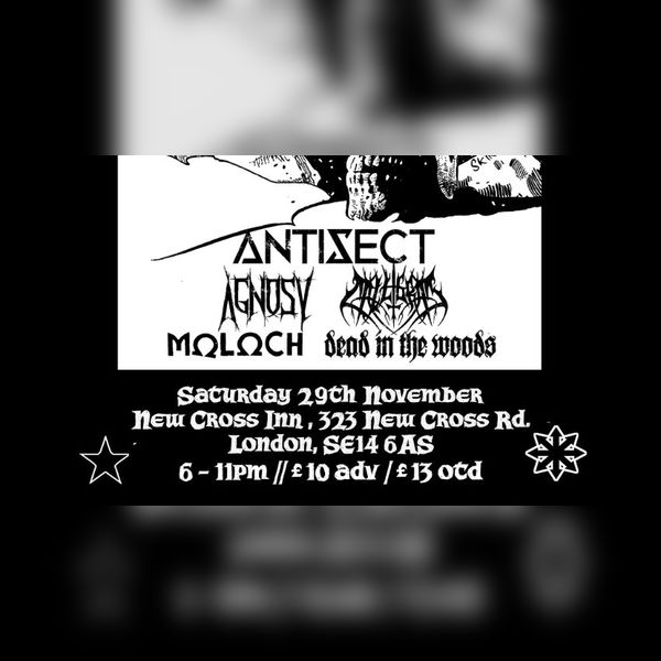 Antisect