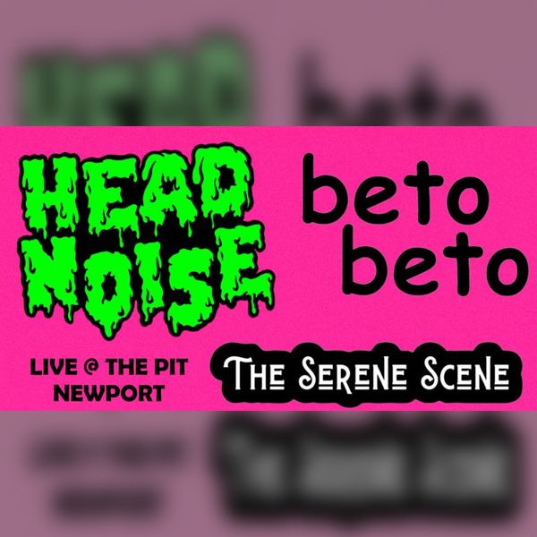 Head Noise / Beto Beto / The Serene Scene @ The Pit - Newport