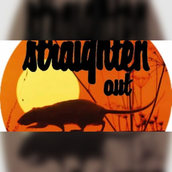 Straighten Out Stranglers Tribute