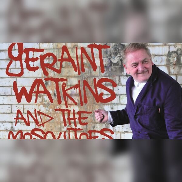Geraint Watkins & The Mosquitoes