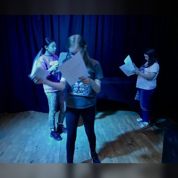Lowther Youth Theatre: Seniors (11-14 years)