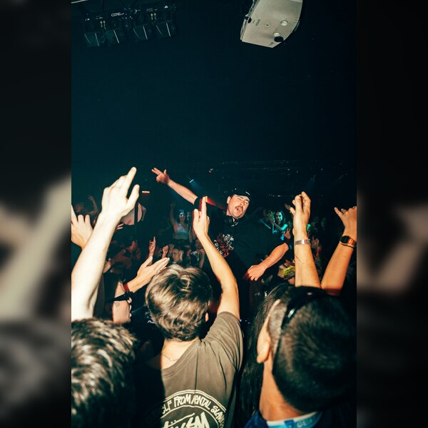 Badger In The Wild: London