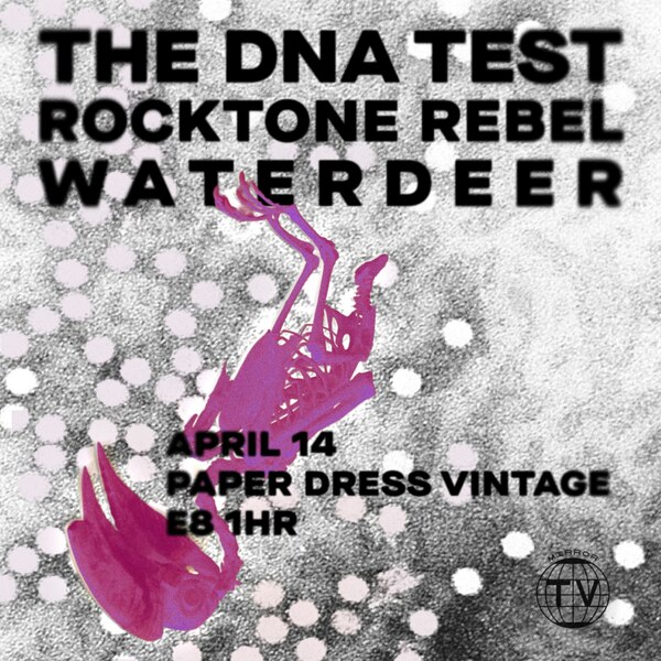 The Dna Test + Rocktone Rebel + Waterdeer