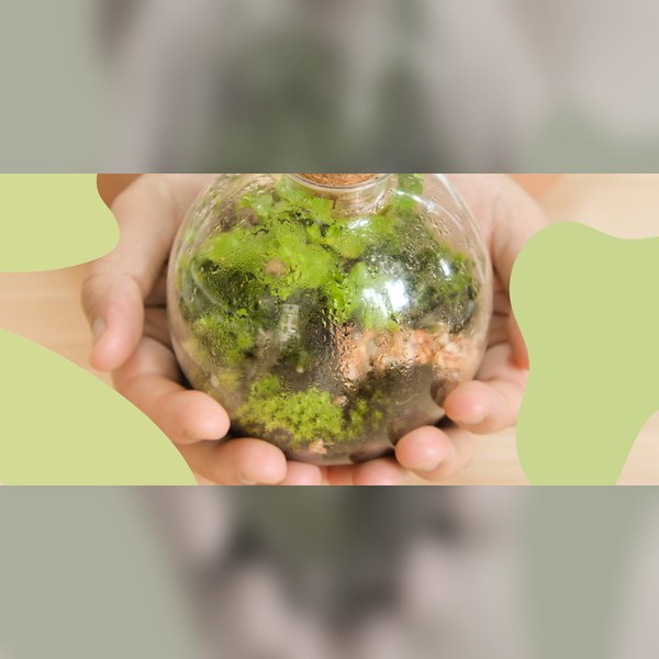 Make a Mossarium drop-in